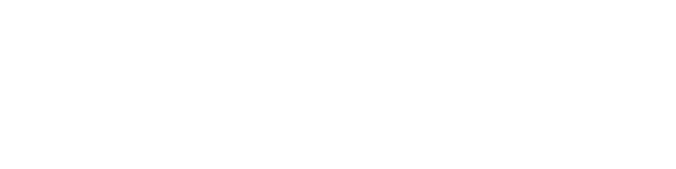 08-NetSafe.png